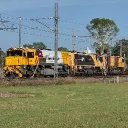 queenslanddude