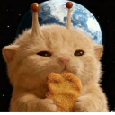 avatar 𝖒𝖎𝖘𝖆