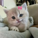 avatar 𝖎𝖚𝖑𝖎𝖆