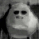 rlouis_5#3160's avatar