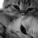 avatar .𝐶𝑟𝑖𝑠𝑡𝑖𝑎𝑛𝑎