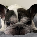 avatar .𝐶𝑟𝑖𝑠𝑡𝑖𝑎𝑛𝑎