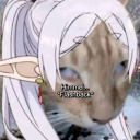 avatar ˚₊‧꒰აsushi໒꒱ ‧₊˚