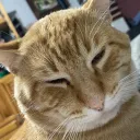 danielpro8839 avatar