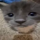 ti1tu5