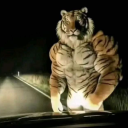 avatar SpeedZigaretten