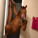 thee_squisher