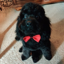 avatar 𝘾𝙝𝙞𝙢𝙢𝙮