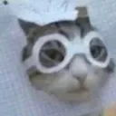 erratic dun avatar
