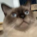 wata.taps
