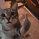 xtzy_z