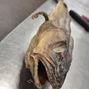 casperios