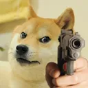 cheemszxc