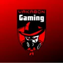 vakabongaming