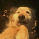 rexthederg