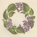 ju1ep