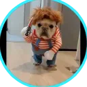 n4meluchito