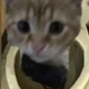 avatar КАТЭ НАХОЙЙЙЙЙЙЙЙ