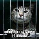 avatar КАТЭ НАХОЙЙЙЙЙЙЙЙ