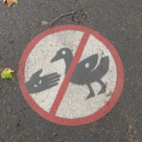 avatar ˚₊‧꒰ა ֆǟɨɛʄօ ໒꒱ ‧₊˚