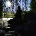 nyctoreign