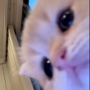avatar Kissy