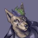 camera_coyote