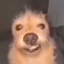 ale.a1