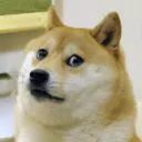 saddened_doggo69