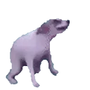 Аватар flisara5