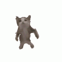 rogerfg104