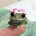 avatar Froggy Woggy