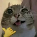 omfgsav