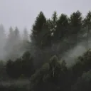 wollffix