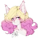 nekogamiyuki