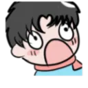 komo6266