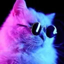 coolcatboy