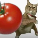 ᴿᴱ⋆  ︴ThittieMilk