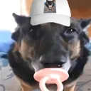 tonylevoly