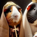 avatar ザЯΣGIПΛ