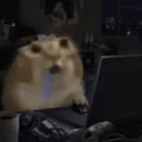 efpeesior