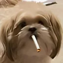remyie