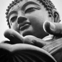bhikkhu_bear