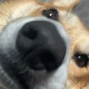 .potato9011 avatar