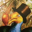 avatar Raphus cucullatus