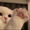 _feep