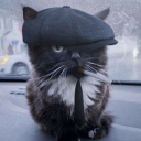 darkenscythe#7655's avatar