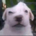 avatar rizzem_wit_the_tism