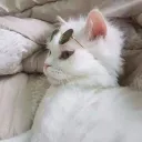 _jonathanreyes avatar