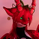kuuderekitten